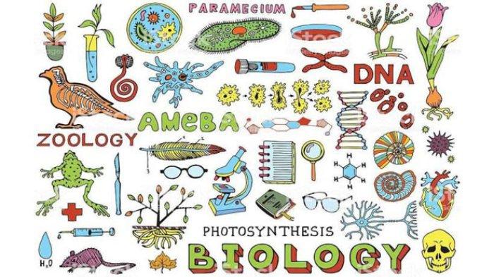 Biologi